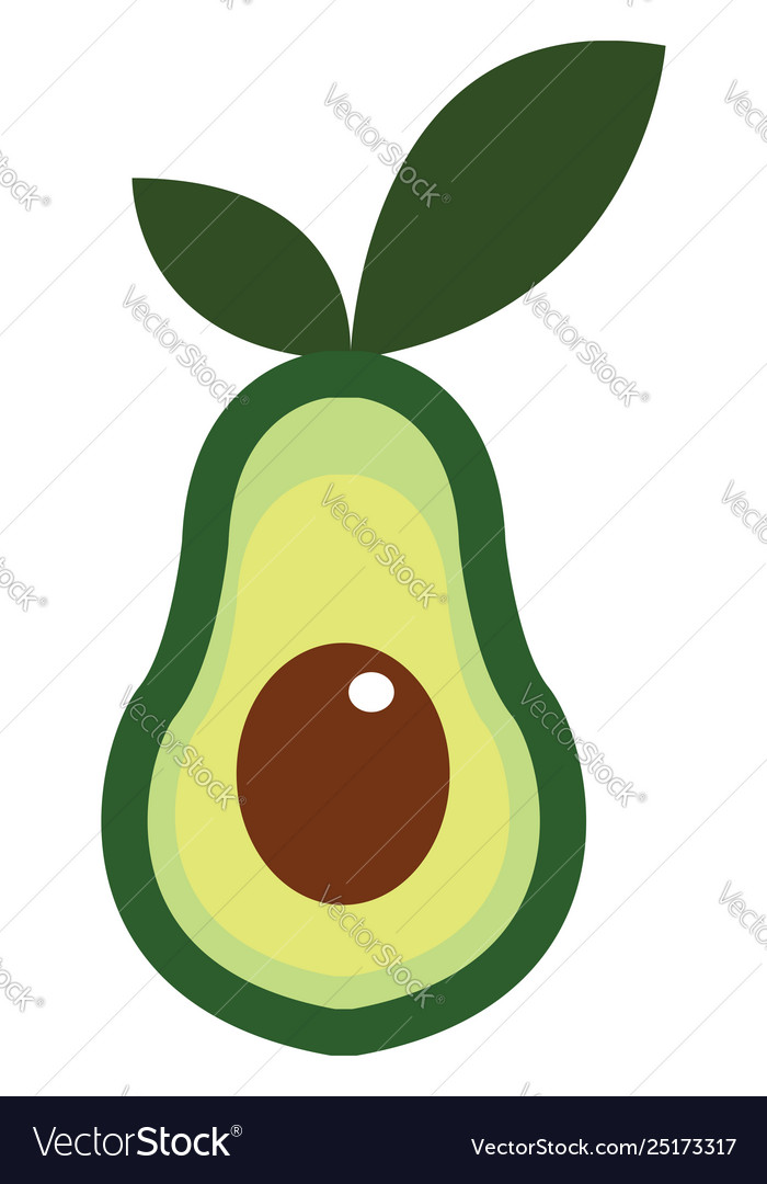Clipart halfcut avocado.