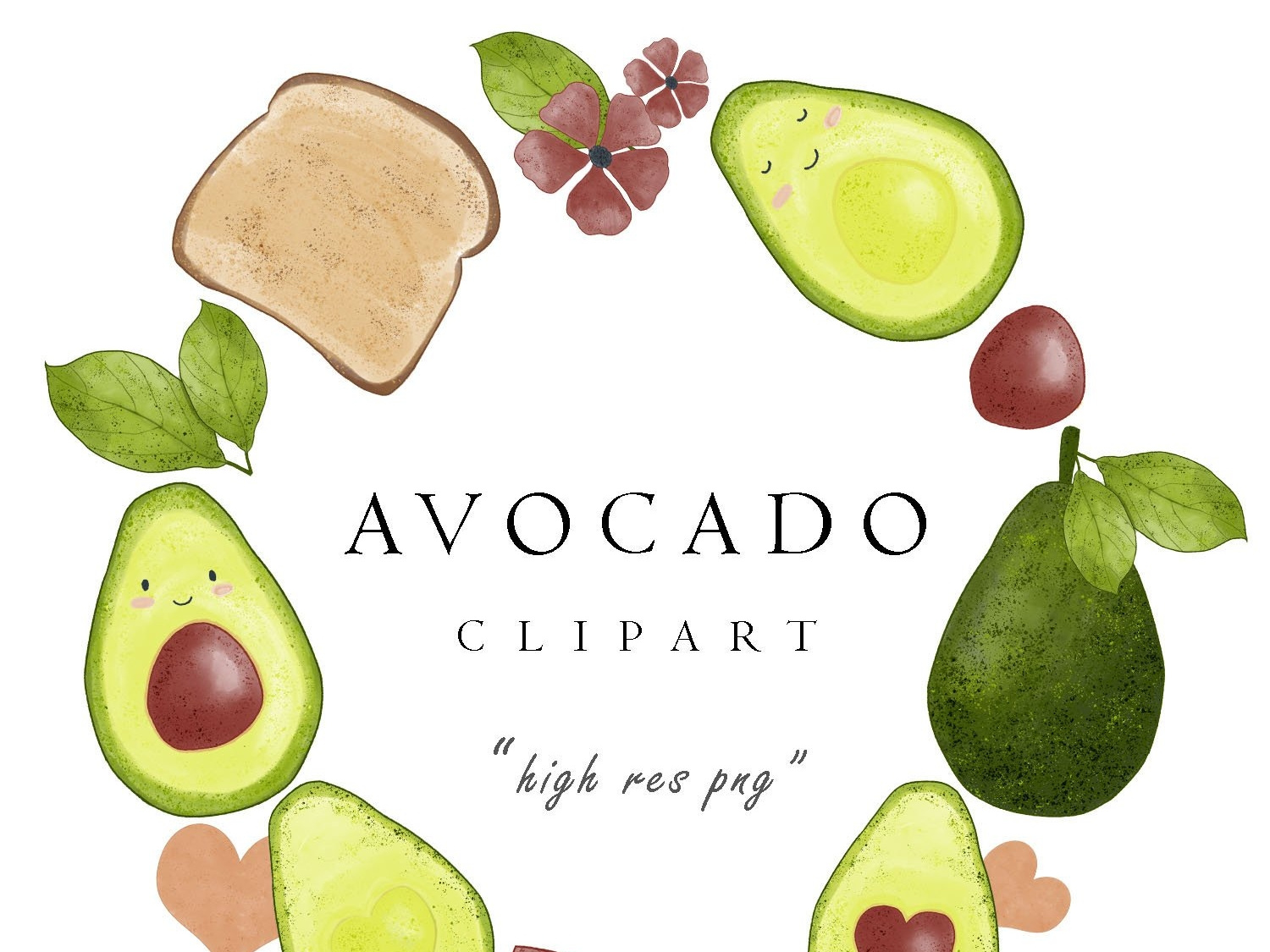 Watercolor Avocado Clipart Cute Pictures Set by turnip on