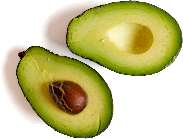 avocado clipart food