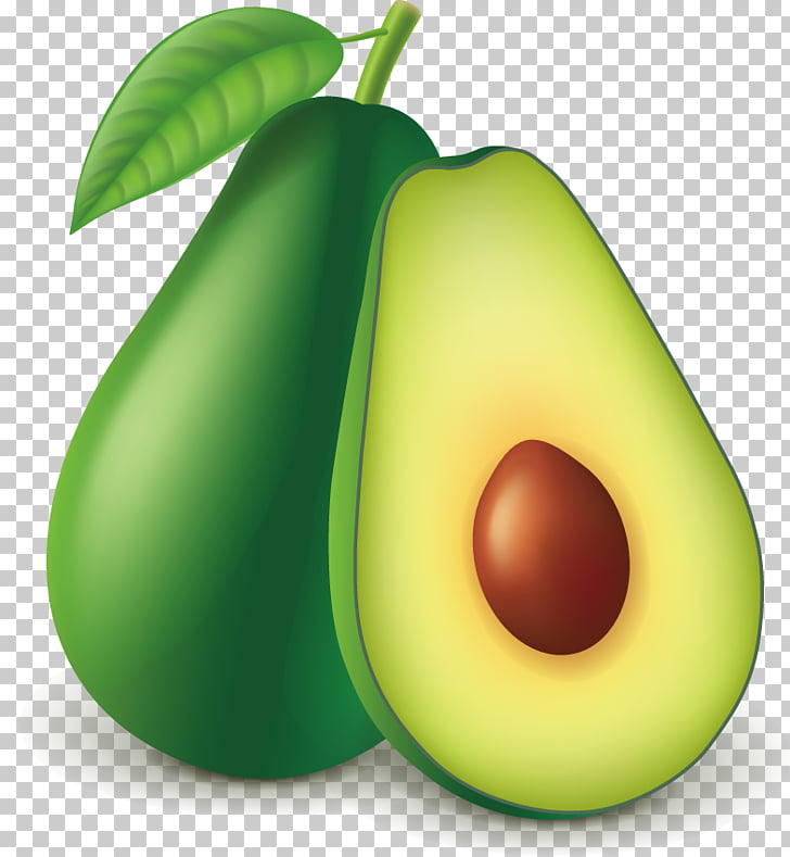 avocado clipart fruit