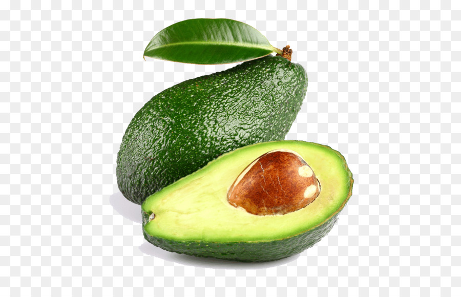 avocado clipart fruit