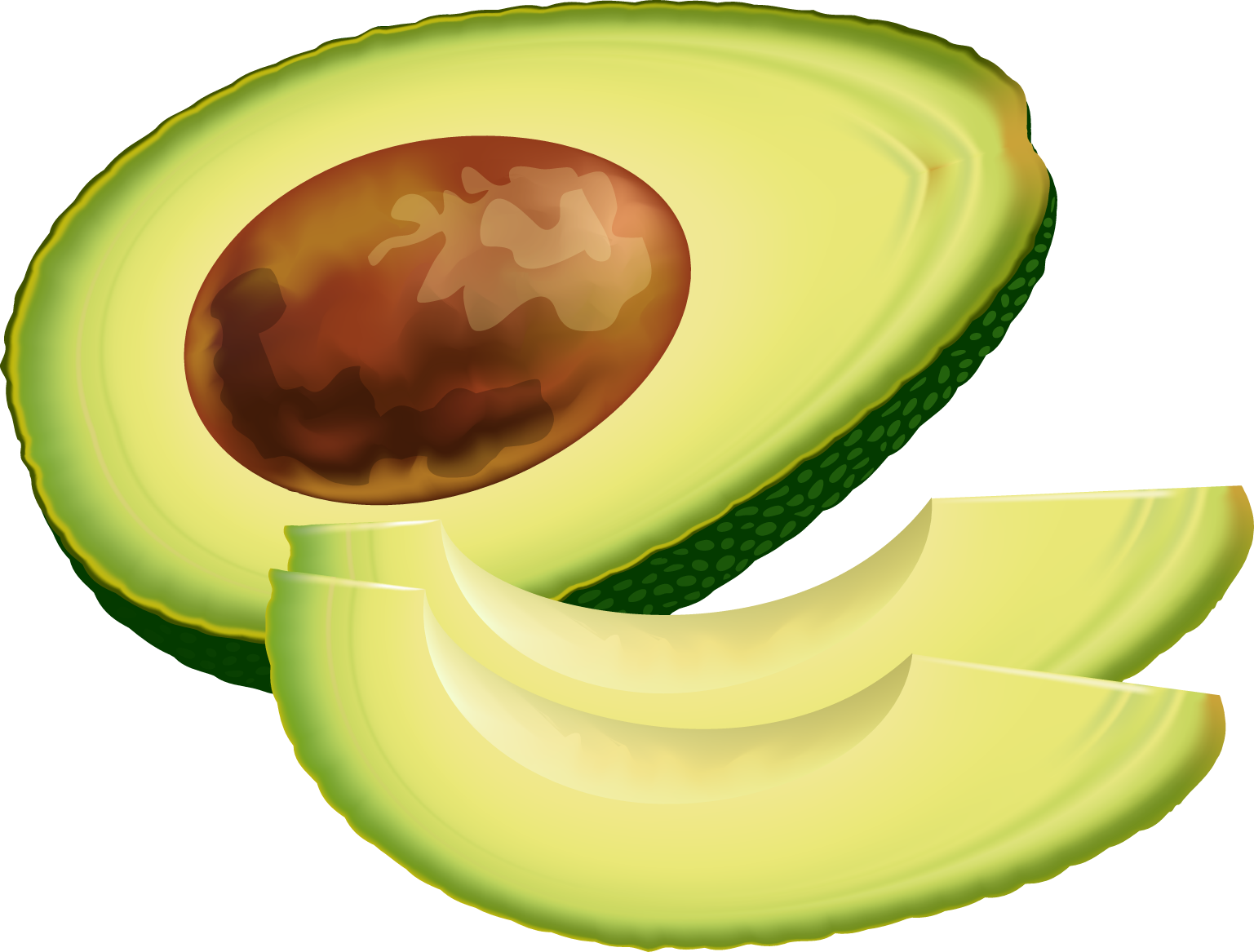 avocado clipart graphic