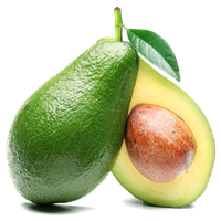 Download Avocado Free PNG photo images and clipart