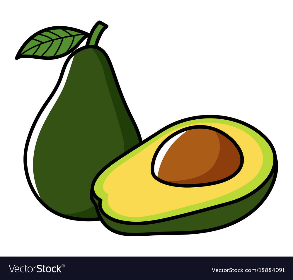 Graphic avocado.