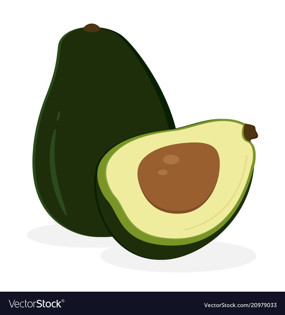 Avocado fruit icon isolated fruits and vegetables
