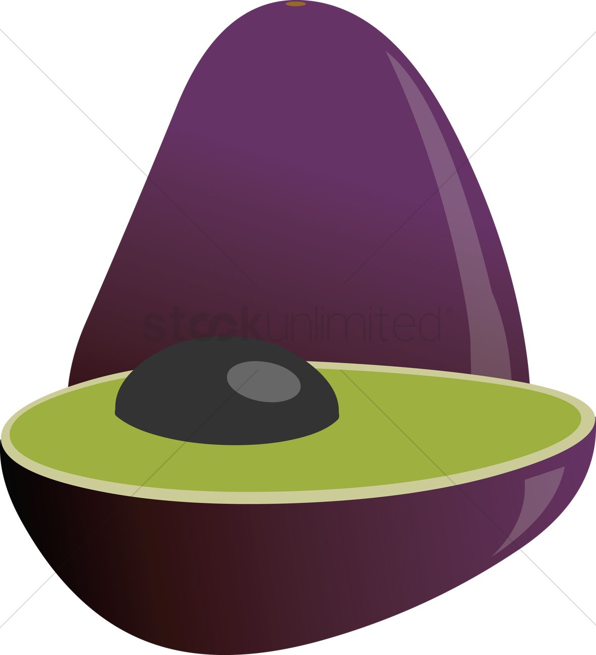 Avocado over a white background Vector Image