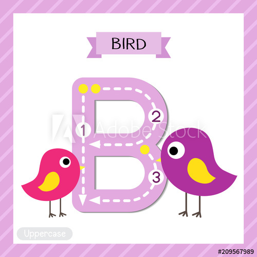 Letter B uppercase cute children colorful zoo and animals
