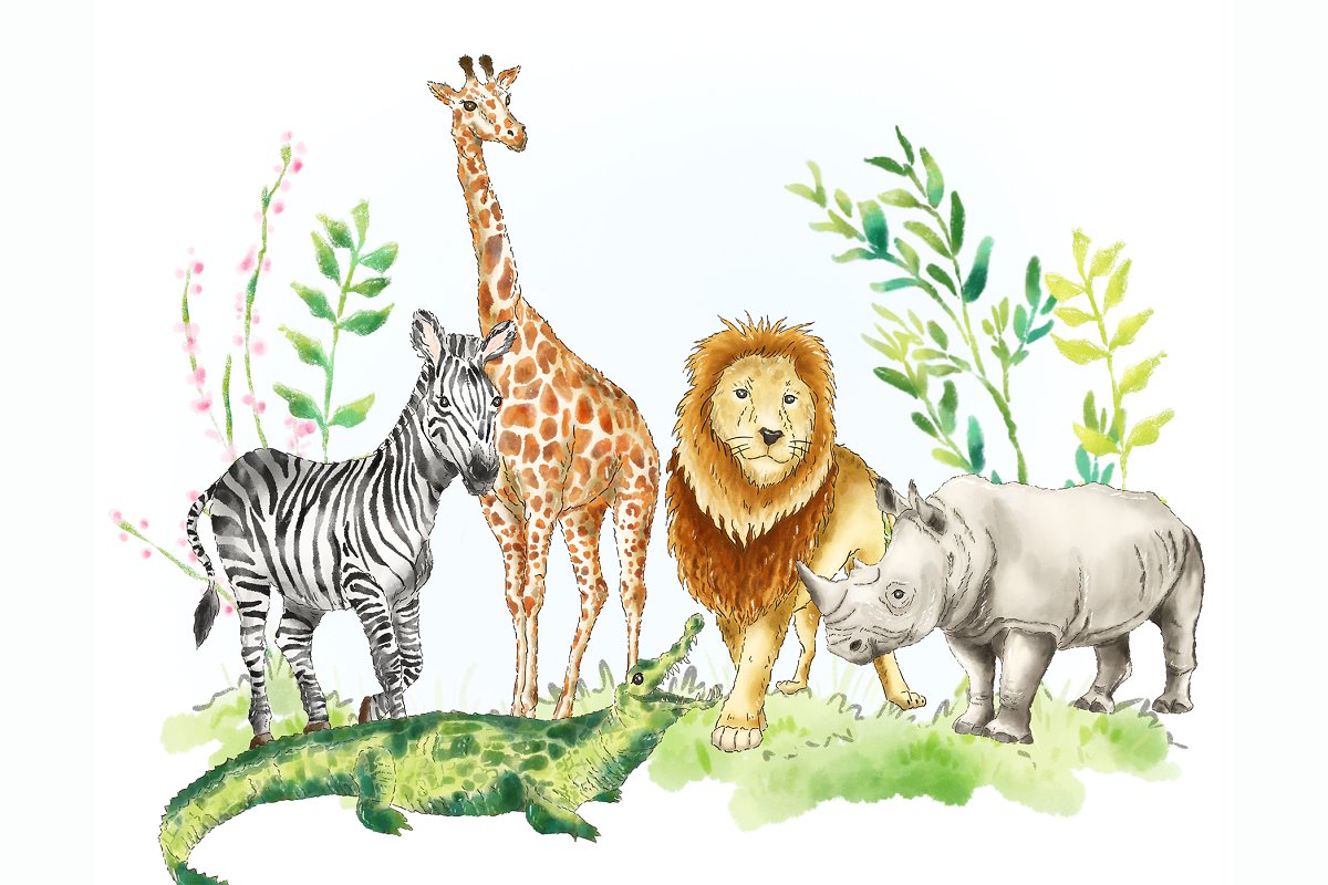 baby safari animals clipart individual