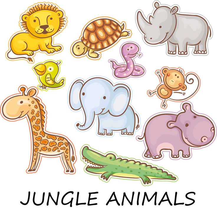 Jungle animals clipart.