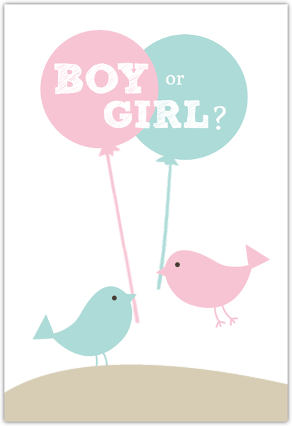 Pink And Blue Birds Neutral Baby Shower Invite