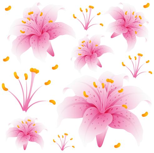 Seamless background design with pink lily flowers