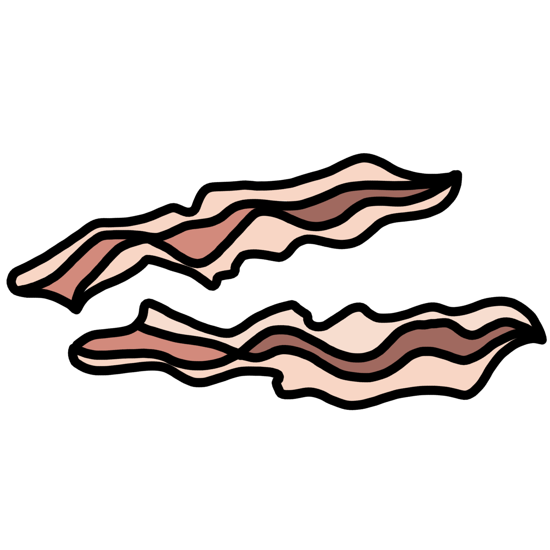 Bacon flatworm transparent.