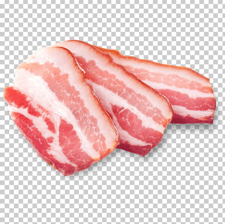 Bacon ham domestic.