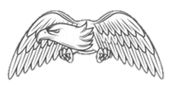 Badge eagle clip.