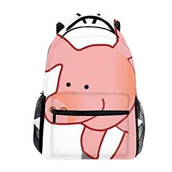 Amazoncom student backpack.