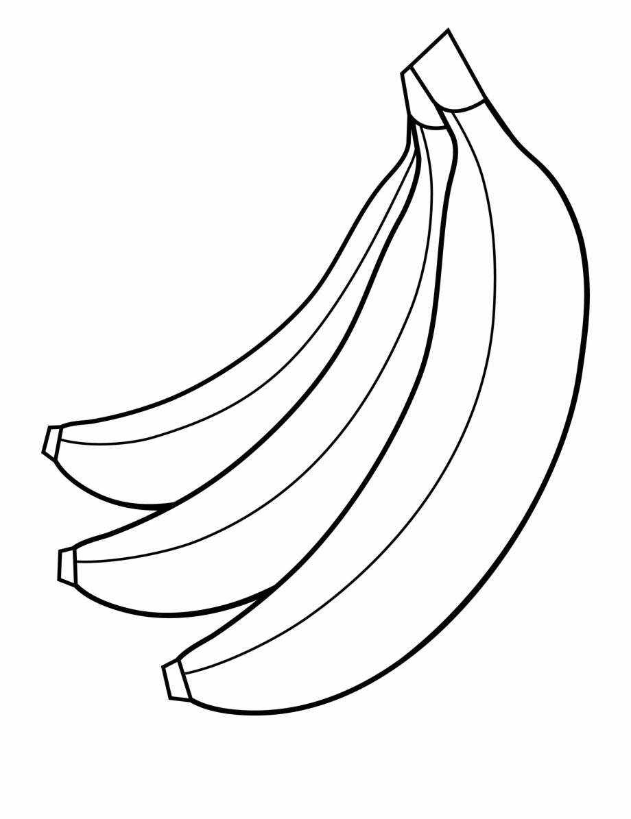 Banana Tree Coloring Page With Clipart Black And White