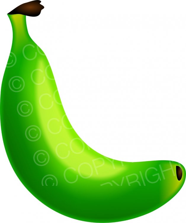 Unripe green banana.