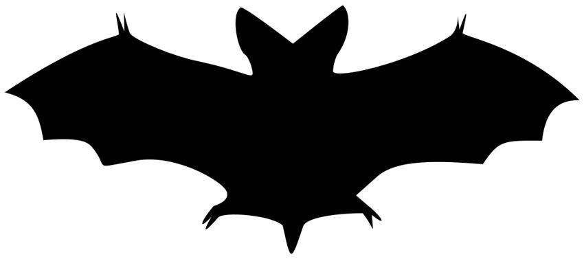 Bat images vintage.