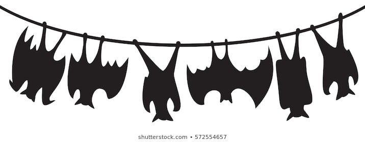 Bat hanging upside.