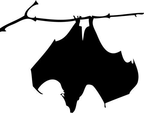 Hanging bat silhouette clipart