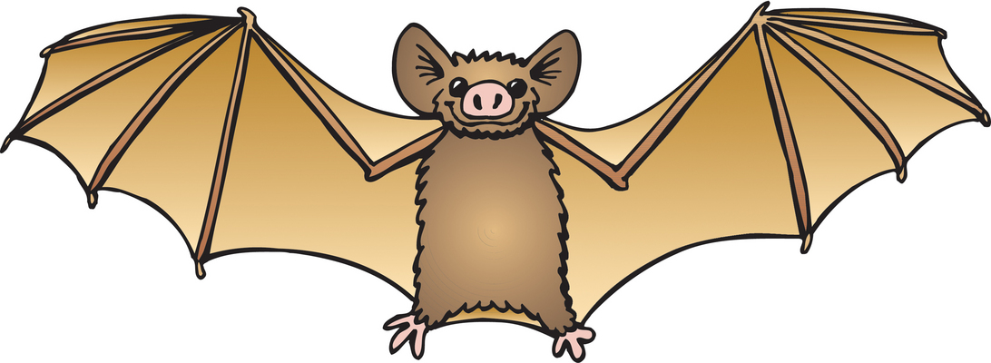Free Bats Cliparts, Download Free Clip Art, Free Clip Art on
