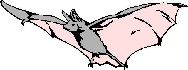Free Bat Images, Download Free Clip Art, Free Clip Art on