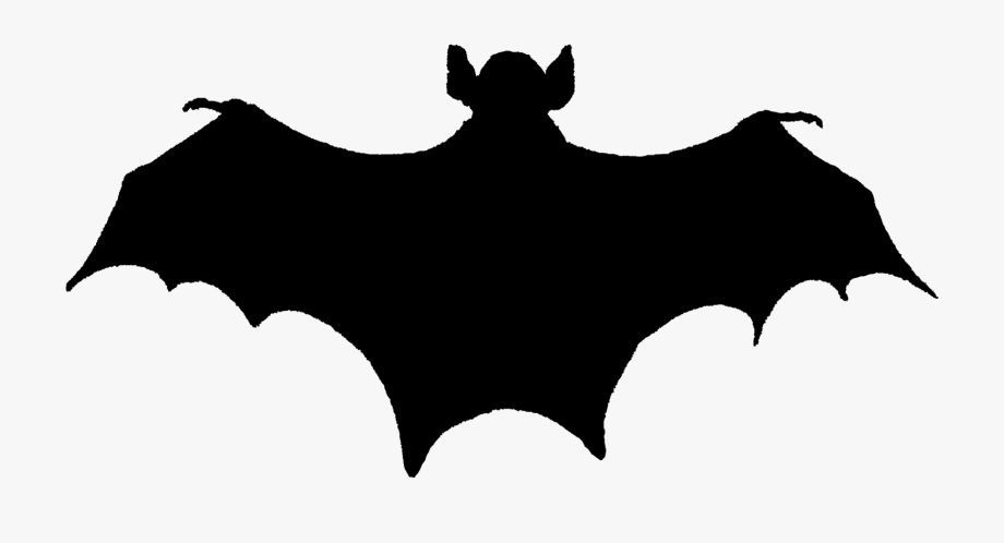 Bat Png Scary
