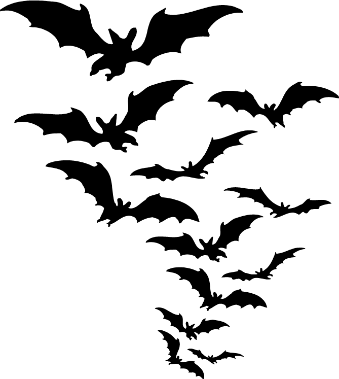 Group Of Bats Clipart transparent PNG