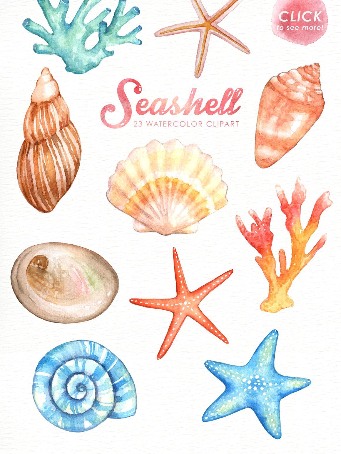 Seashell watercolor cliparts.