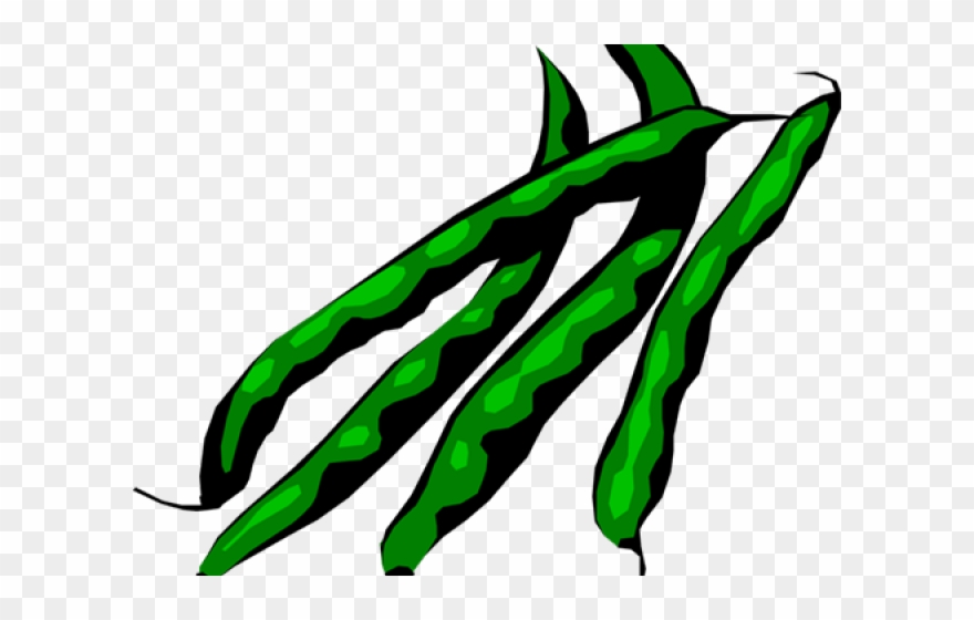 Green Beans Clip Art