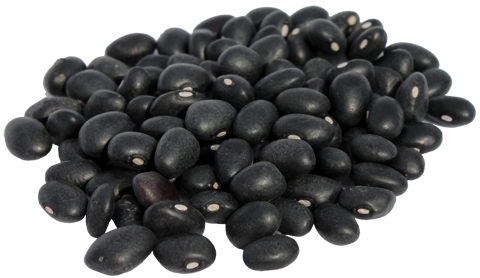 Download black beans.