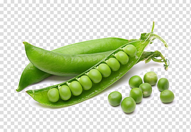 Green beans, Chickpea Vegetable Legume Fruit, Peas vegetable