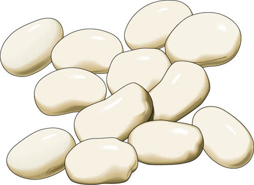 Free Cliparts Bean Seed, Download Free Clip Art, Free Clip