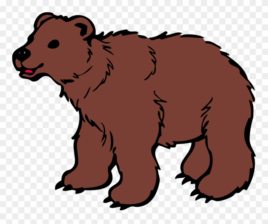 Bear clipart brown.