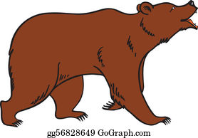 Brown bear clip.