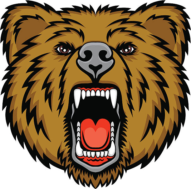 Grizzly bear clipart