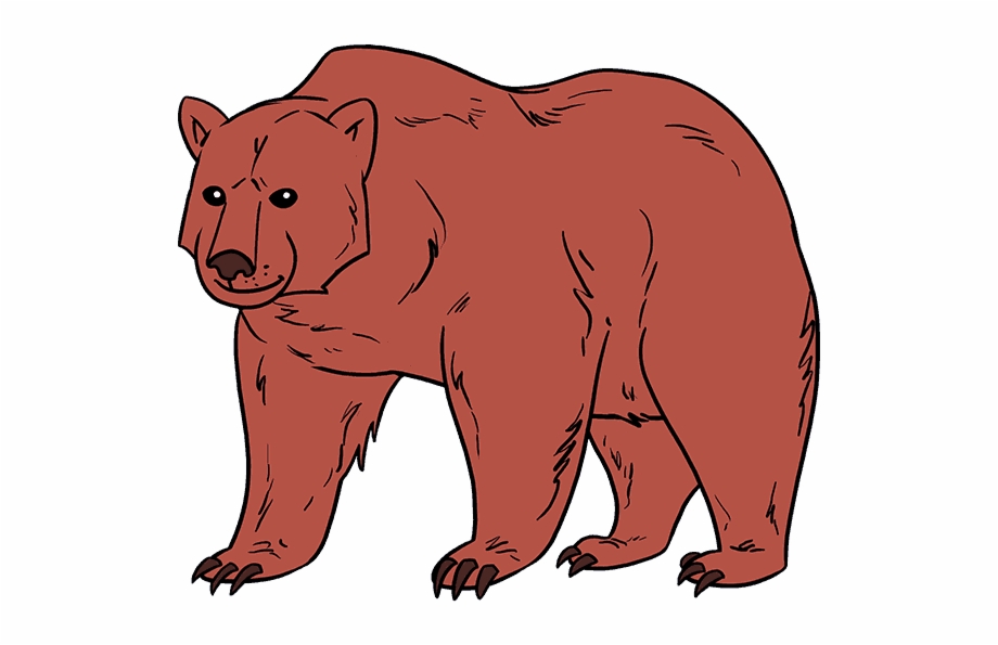 Sun Bear Clipart Realistic Brown Bear Easy Drawing