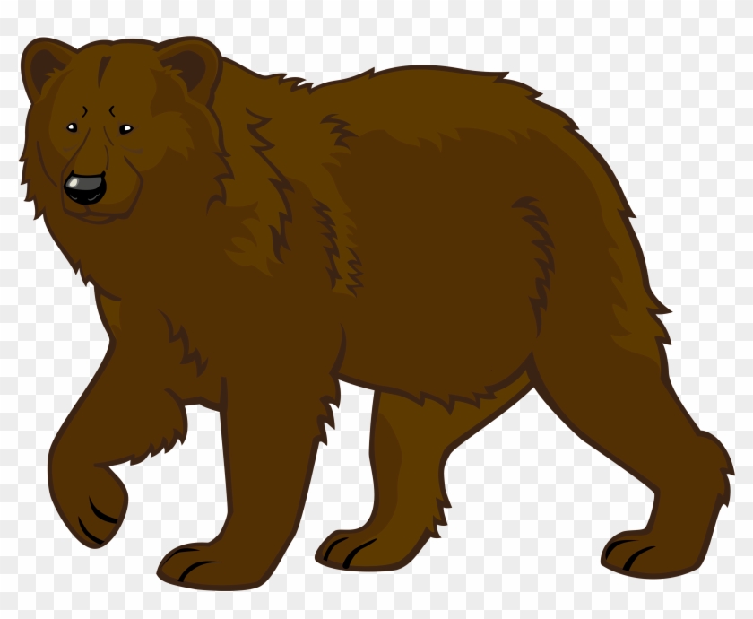 Brown bear png.