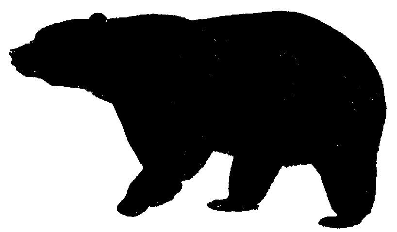 bear clipart vector