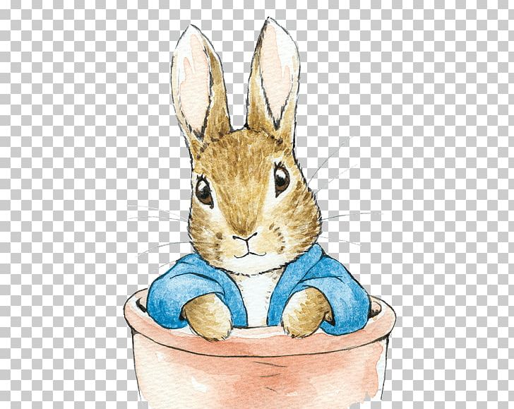 Domestic Rabbit The Tale Of Peter Rabbit Easter Bunny PNG