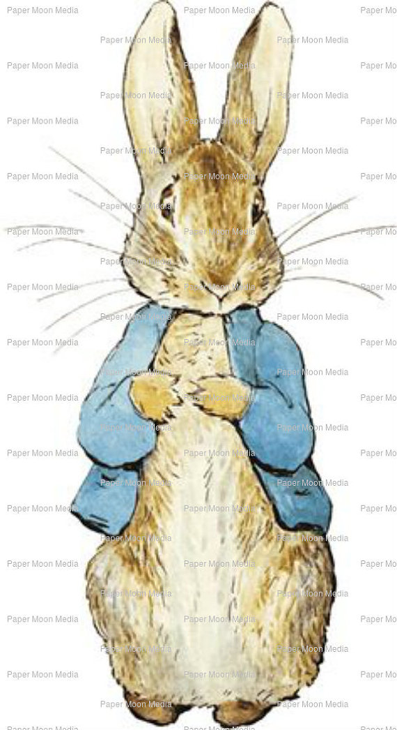 Digital Illustration, Beatrix Potter Peter Rabbit, Instant