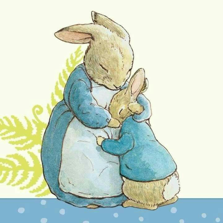 Peter rabbit and mom