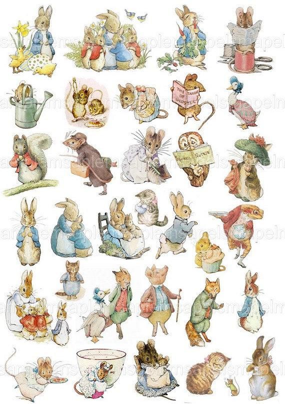 Peter rabbit and.