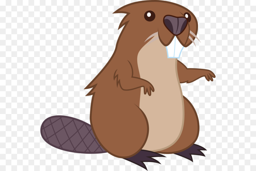 Beaver clipart animated pictures on Cliparts Pub 2020! 🔝