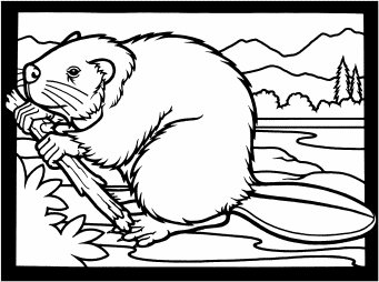 Free Beaver Dam Cliparts, Download Free Clip Art, Free Clip