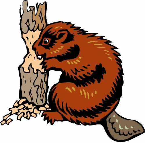Animal graphics beaver.