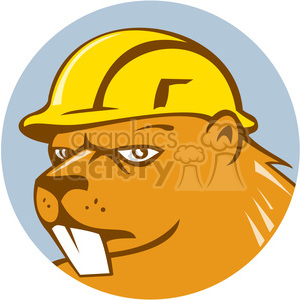 Beaver construction worker.