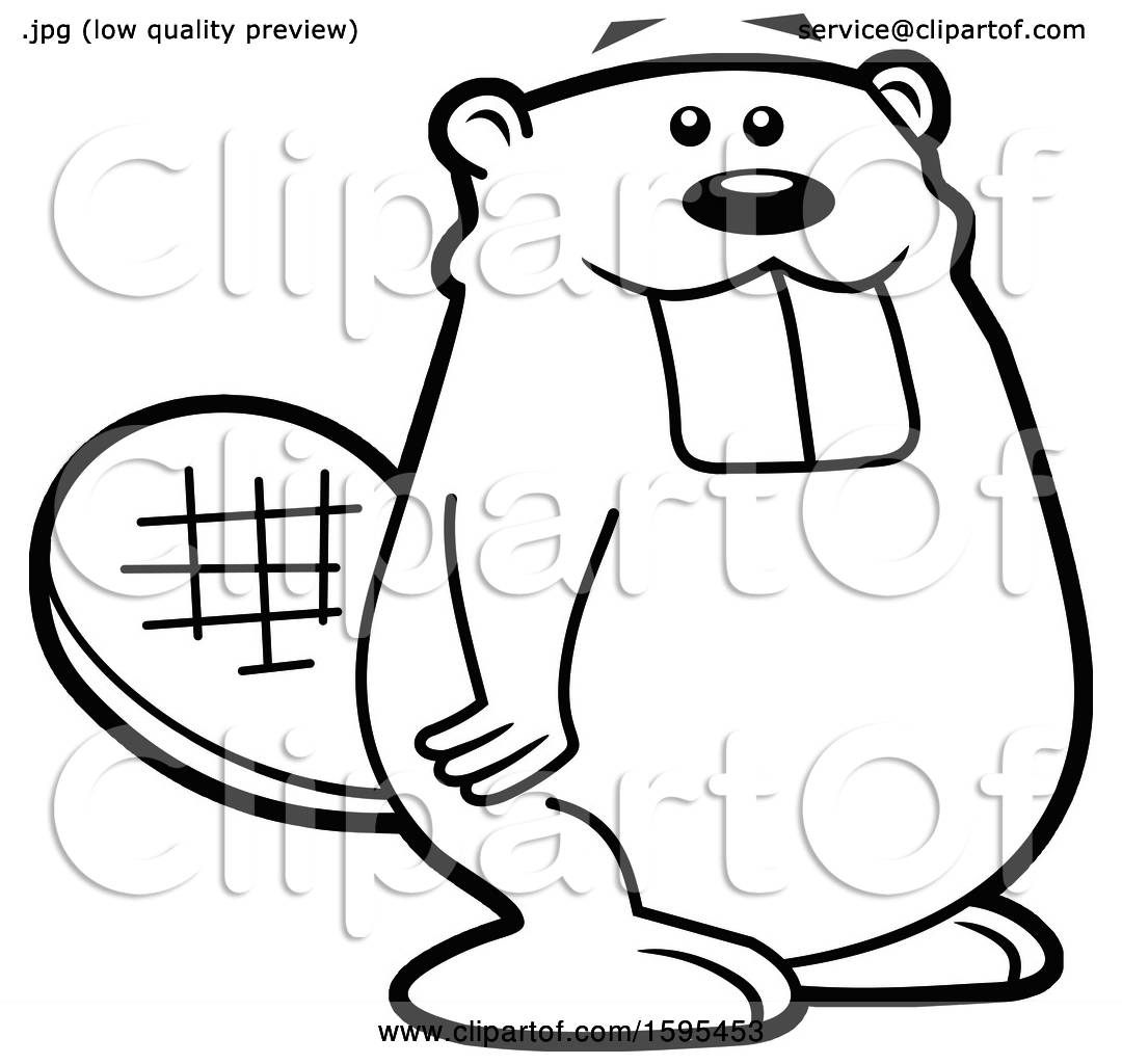 Beaver Cartoon Drawing
