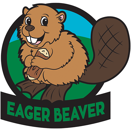 Beaver clipart eager beaver, Beaver eager beaver Transparent