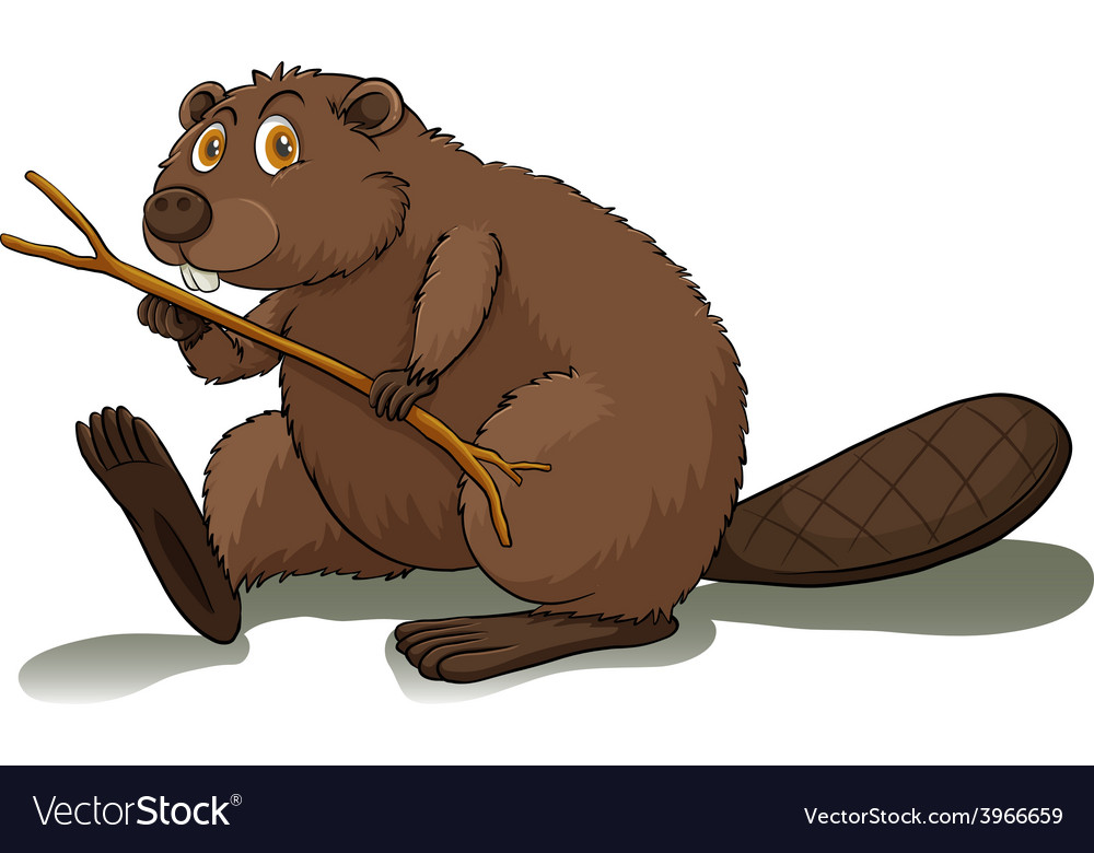 An eager beaver